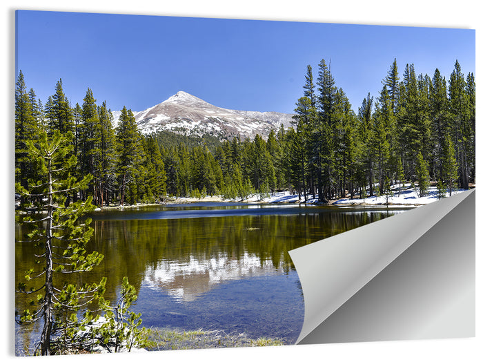 Yosemite Mountain Reflection Wall Art as a poster print