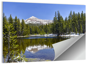 Yosemite National Park Wall Art