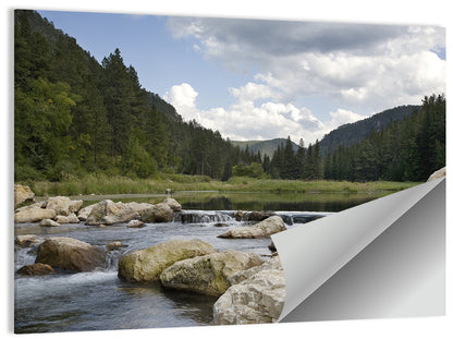 Spearfish Canyon, Black Hills Wall Art
