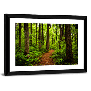 Shenandoah National Park Trail Wall Art