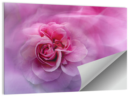 Ethereal Pink Rose Bloom Wall Art