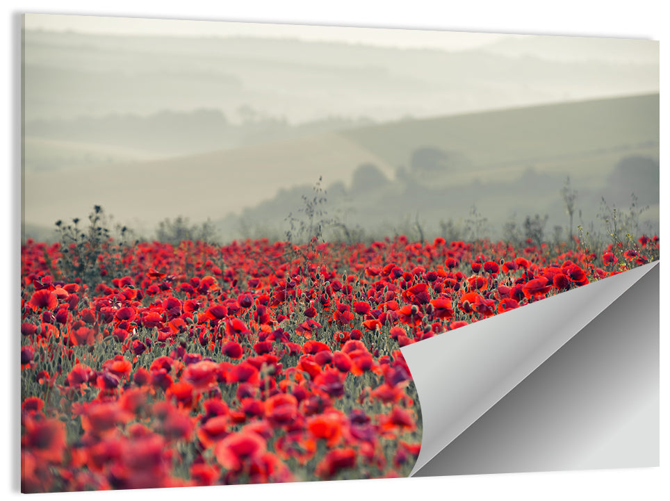 Red Poppy Field Wall Art, poster print, landscape