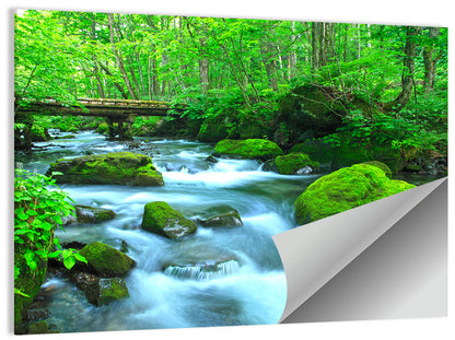 Mossy Forest Stream Wall Art