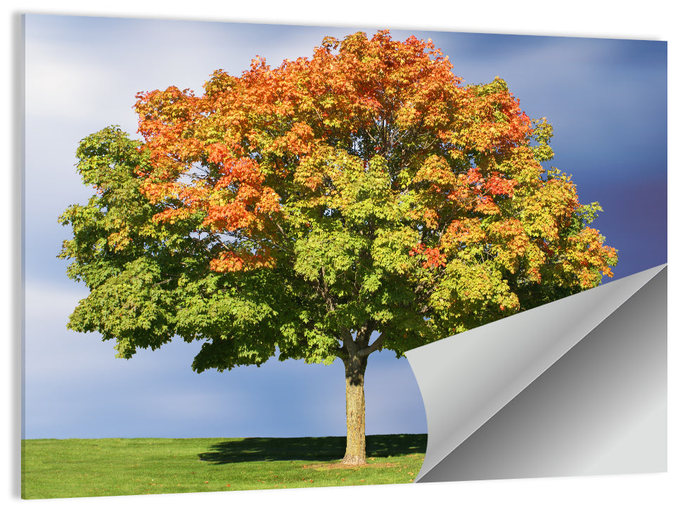 Maple with Split Foliage Wall Art