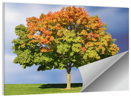 Maple with Split Foliage Wall Art
