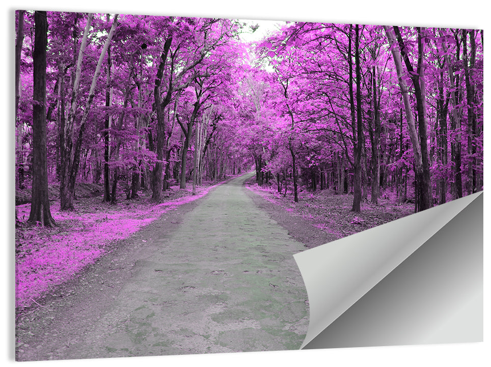 Magenta Autumn Forest Road Wall Art