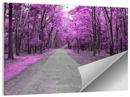 Magenta Autumn Forest Road Wall Art