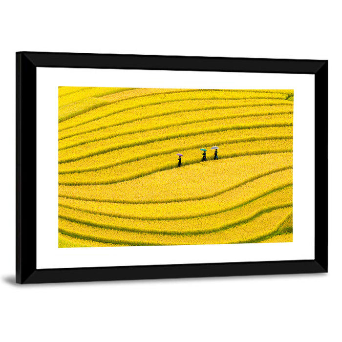 Golden Rice Terraces with Umbrellas Wall Art as a framed print