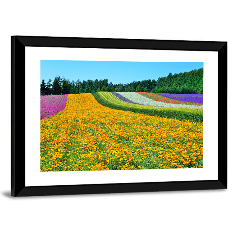 Tomita Flower Fields, Nakafurano Wall Art