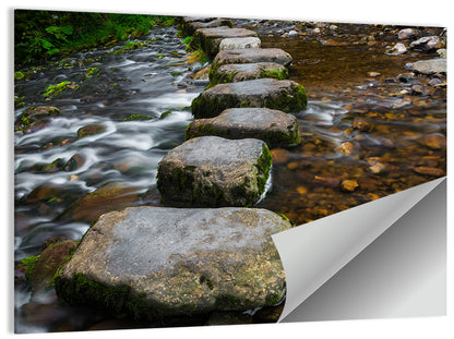 Mossy Stepping Stones Over Stream Wall Art
