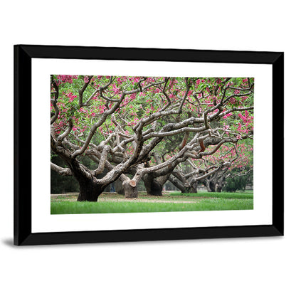 Peach Orchard in Bloom Wall Art