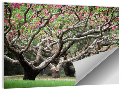 Peach Orchard in Bloom Wall Art