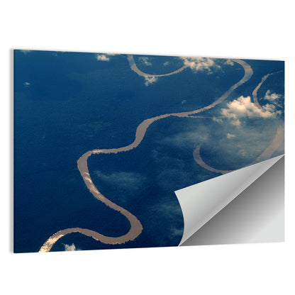 Sunlit Meander of the Amazon River Wall Art