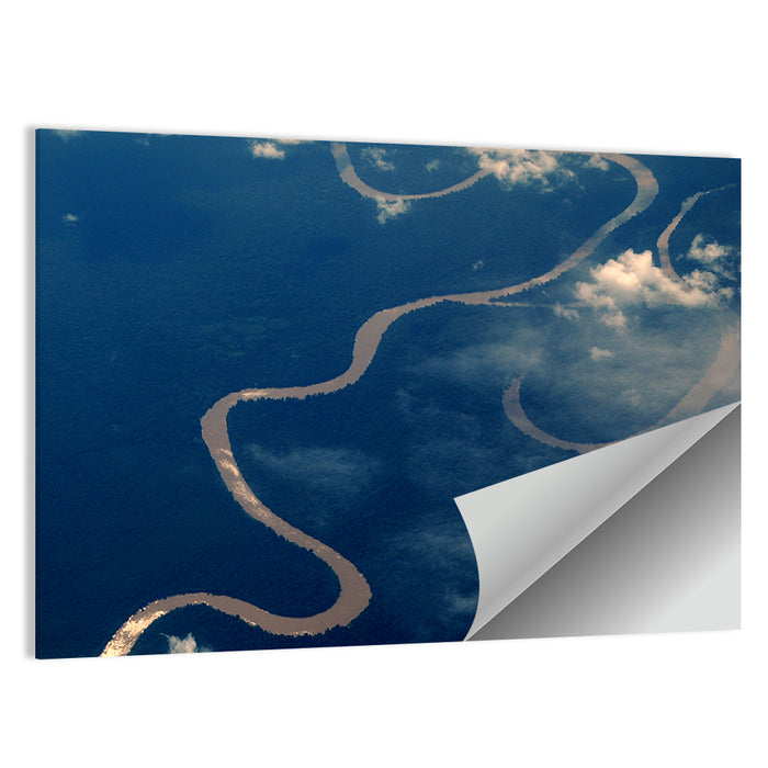 Sunlit Meander of the Amazon River Wall Art as a poster print