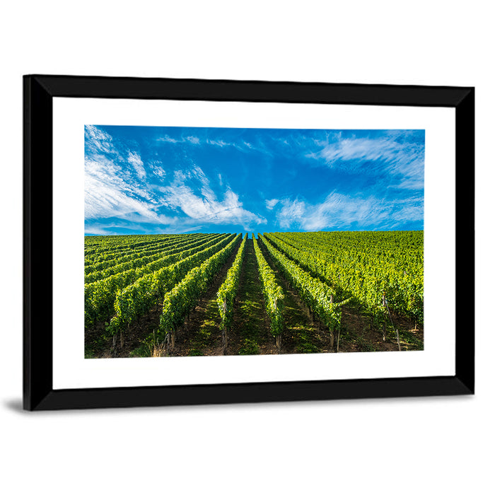 Luxembourg Vineyards Wall Art as a framed print