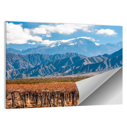 Vineyard Below Aconcagua Wall Art