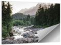 Snake River Mountain View Wall Art