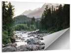 Snake River Mountain View Wall Art