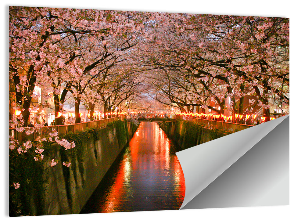 Meguro River Cherry Blossoms Wall Art