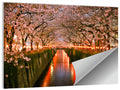 Meguro River Cherry Blossoms Wall Art