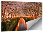 Meguro River Cherry Blossoms Wall Art