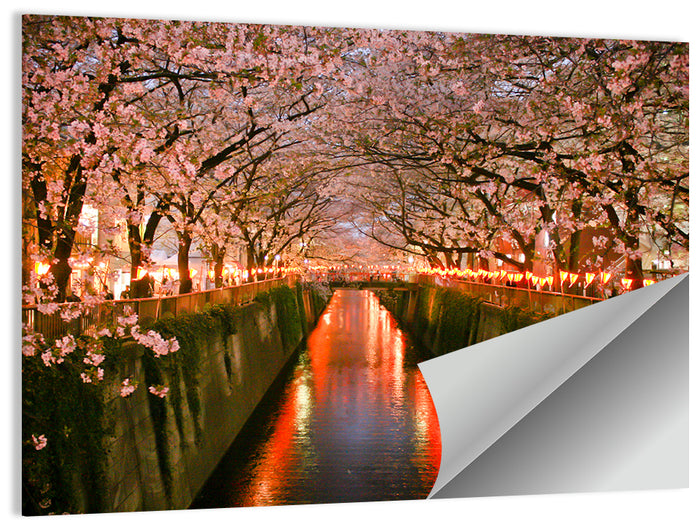 Meguro River Cherry Blossoms Wall Art as a poster print