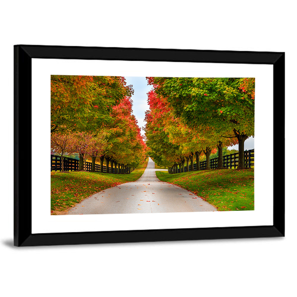 Tree-lined Farm Lane, Kentucky Wall Art