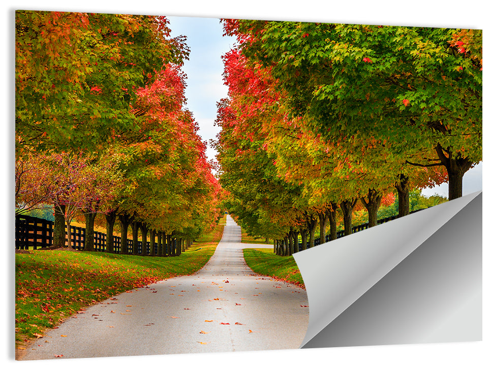 Tree-lined Farm Lane, Kentucky Wall Art