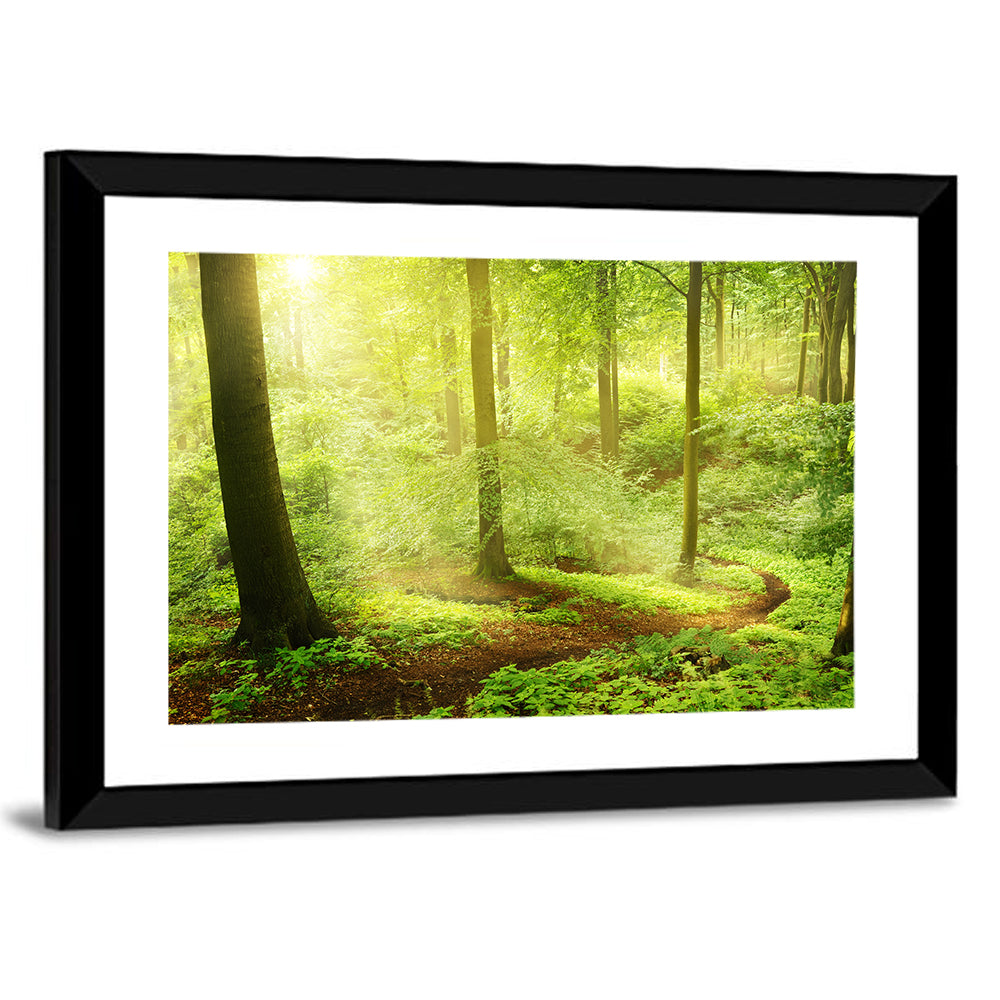 Sunlit Forest Path Wall Art
