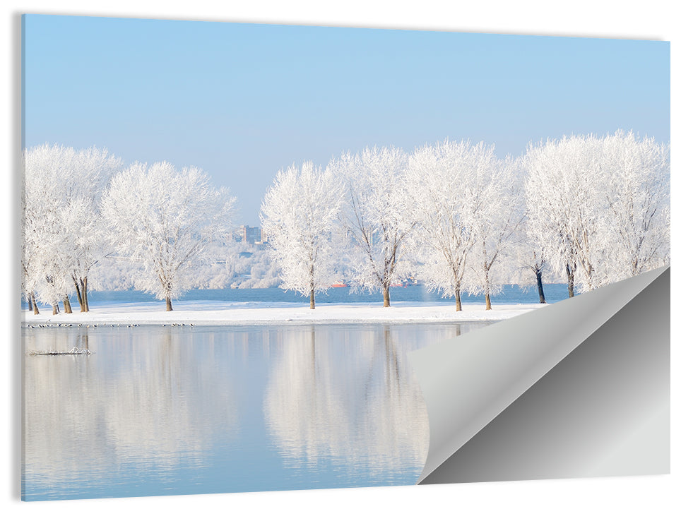Frosted Winter Trees Reflected on a Quiet Lake Wall Art