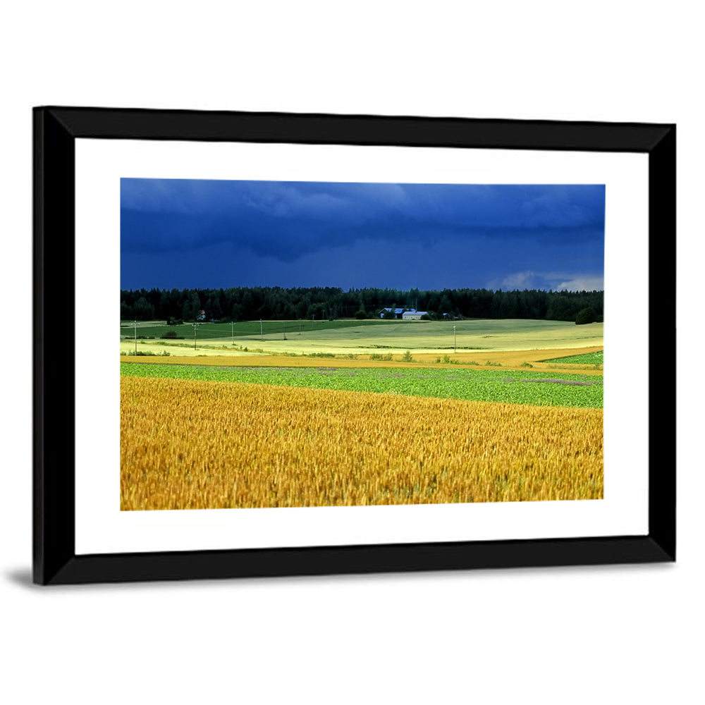 Cornfields Under Stormy Sky Wall Art