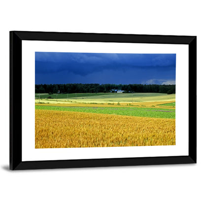 Cornfields Under Stormy Sky Wall Art