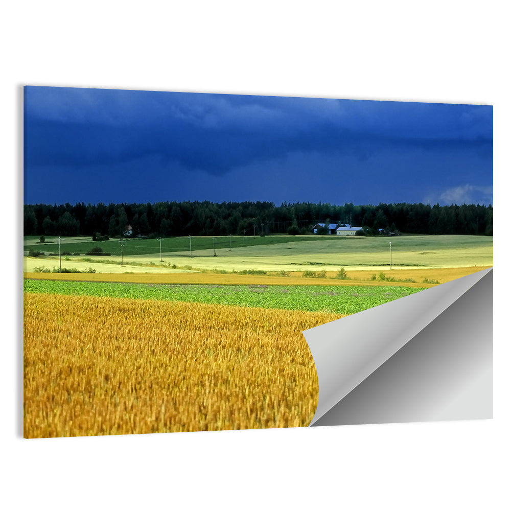 Cornfields Under Stormy Sky Wall Art