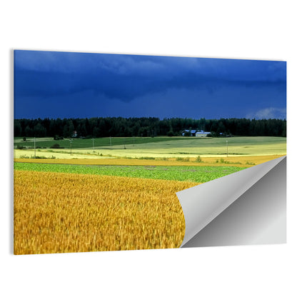Cornfields Under Stormy Sky Wall Art