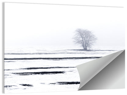 Foggy Winter Field with Lone Tree Wall Art