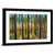 Scots Pine Forest Wall Art