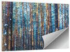 Golden Hour Winter Pine Forest Wall Art