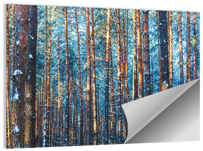 Winter Forest Trees Wall Art