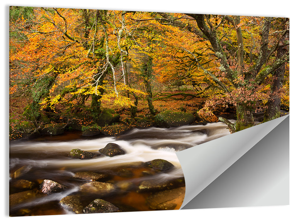 Dartmoor Autumn River in Golden Forest Wall Art