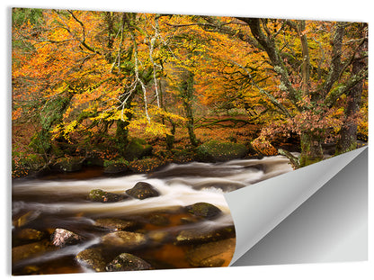 Dartmoor Autumn River in Golden Forest Wall Art