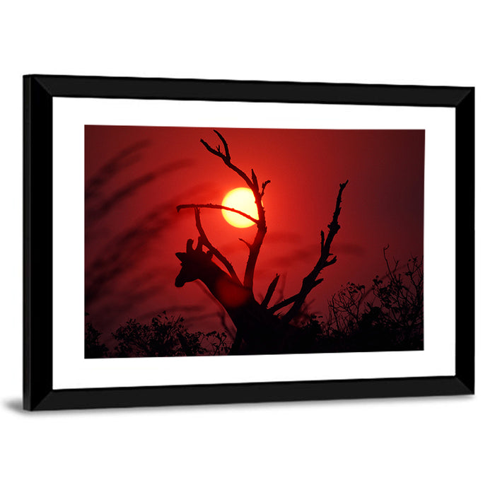 Giraffe Silhouette at Sunset Wall Art as a framed print