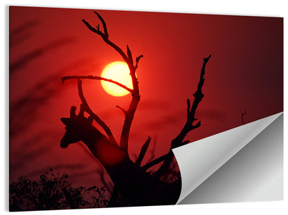 Giraffe Silhouette at Sunset Wall Art