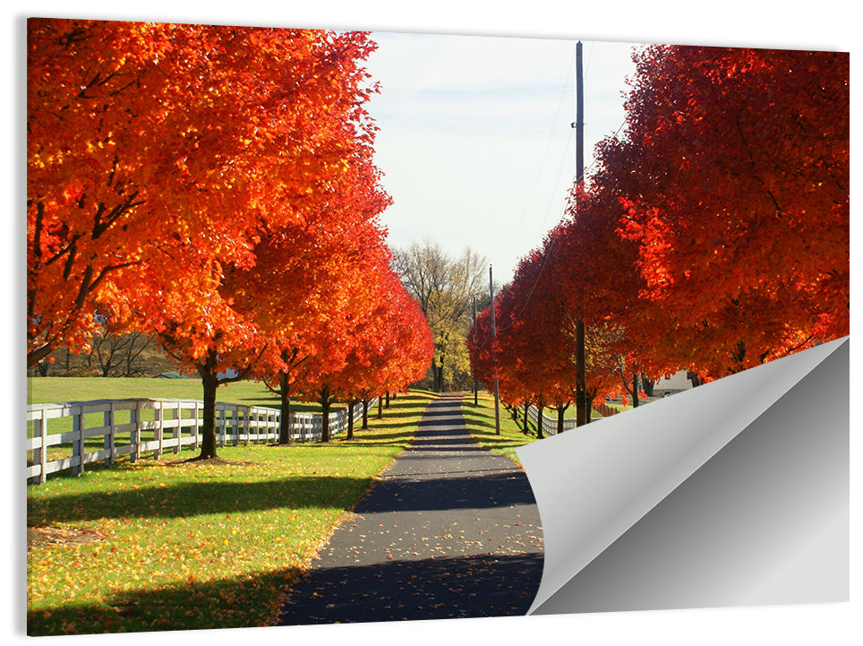 Frederick Farm Road Wall Art