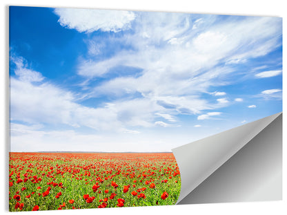 Red Poppy Field Wall Art