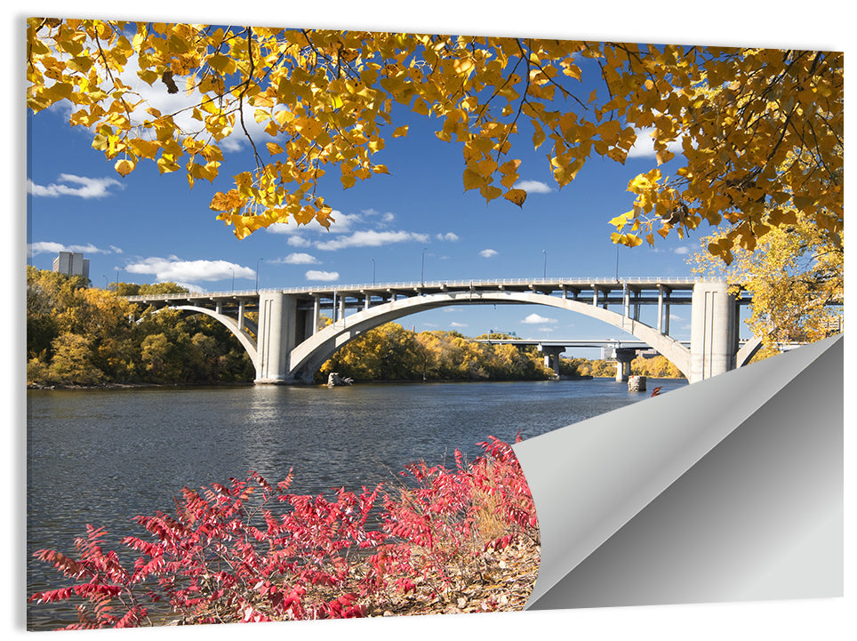 Ford Parkway Bridge Mississippi River Wall Art