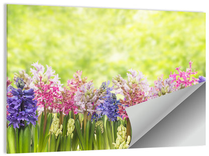 Hyacinth Cluster in Bloom Wall Art