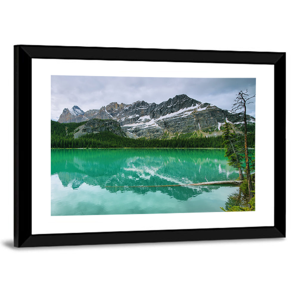 Lake O'hara Reflection Wall Art