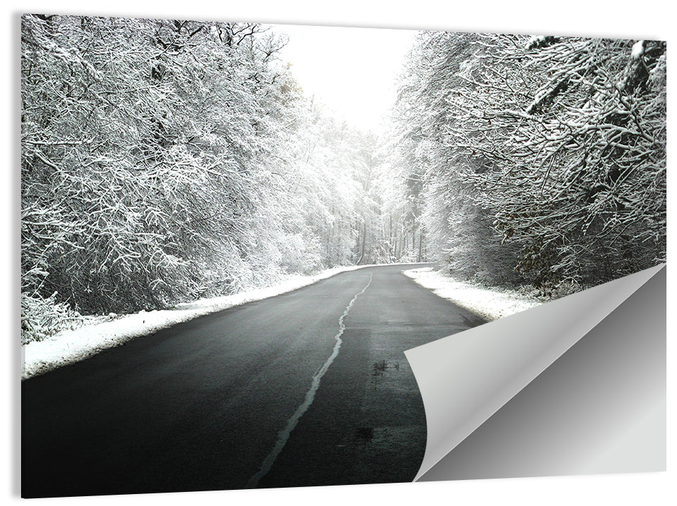 Glowing Winter Road Wall Art