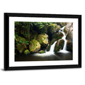 Rainforest Waterfall with Moss Covered Boulders Wall Art