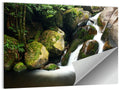 Rainforest Waterfall with Moss Covered Boulders Wall Art